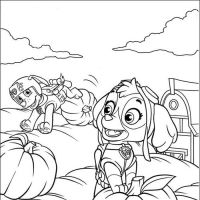 Desenhos para colorir Patrulha Canina