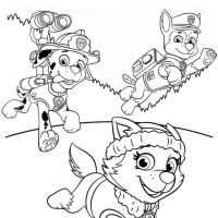 Desenhos para colorir Patrulha Canina