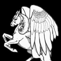 Desenhos para colorir Pegasus