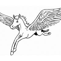 Desenhos para colorir Pegasus