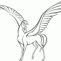 Desenhos para colorir Pegasus