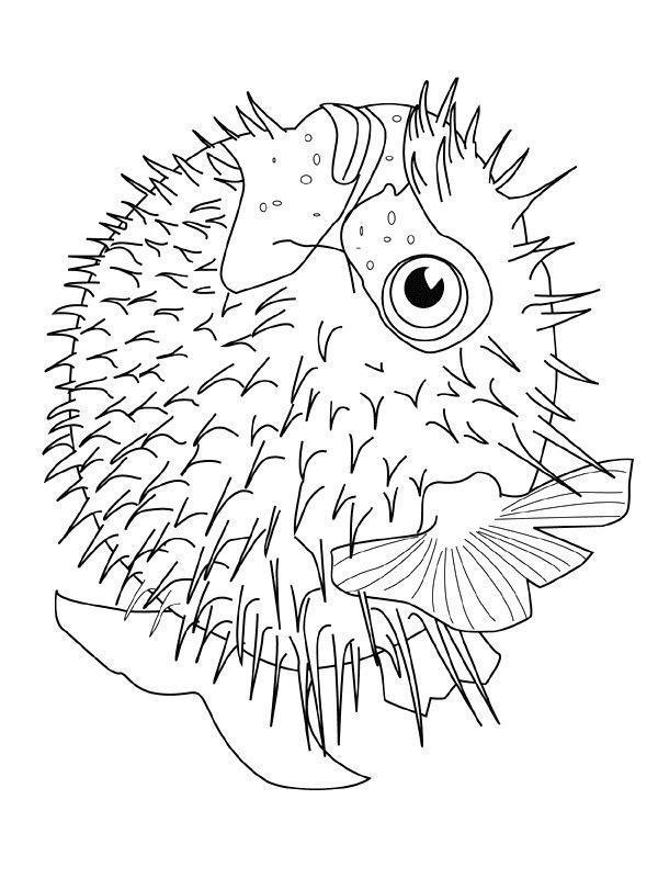 Desenho para colorir