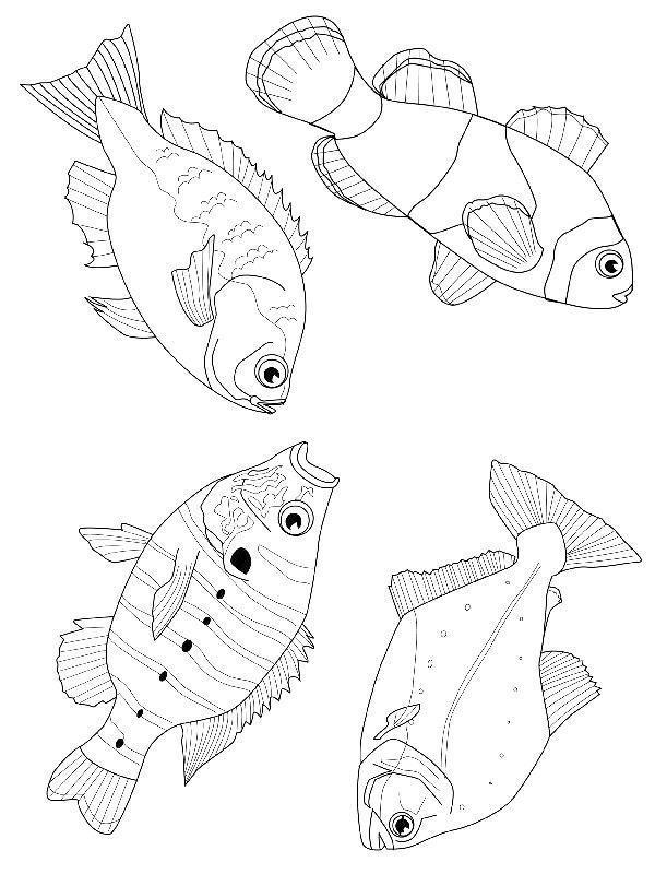 Desenho para colorir