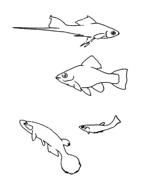 Desenho para imprimir