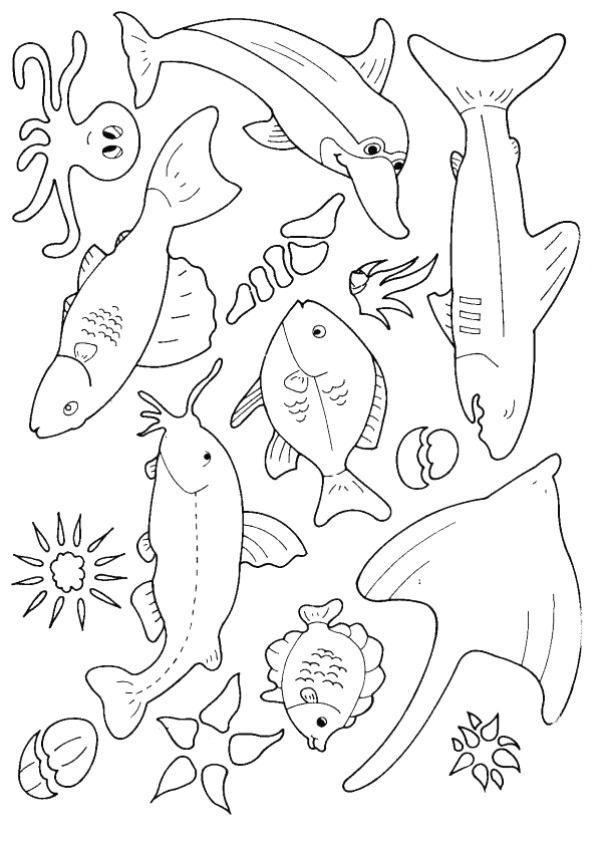 Desenho para colorir