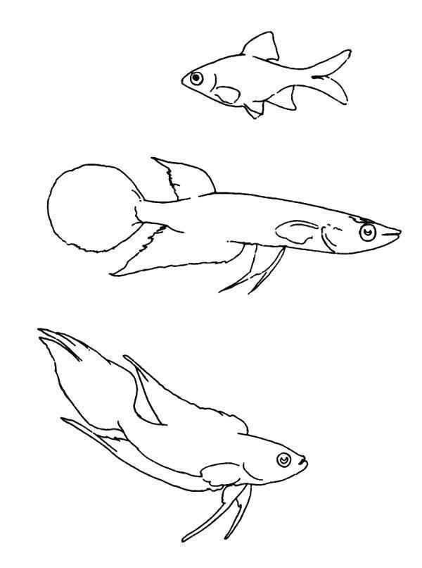 Desenho para imprimir