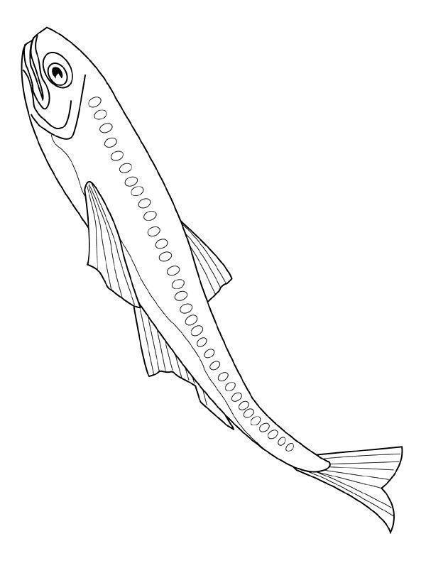 Desenho para imprimir
