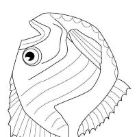 Desenhos para colorir Peixes