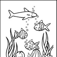 Desenhos para colorir Peixes