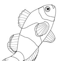Desenhos para colorir Peixes