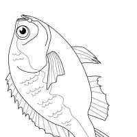 Desenhos para colorir Peixes