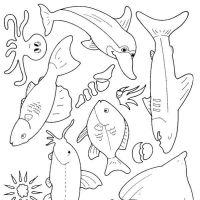 Desenhos para colorir Peixes