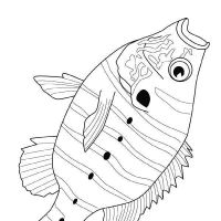 Desenhos para colorir Peixes