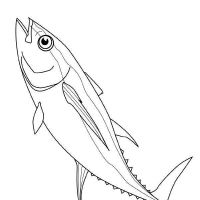 Desenhos para colorir Peixes