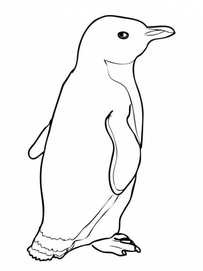 Desenho para colorir