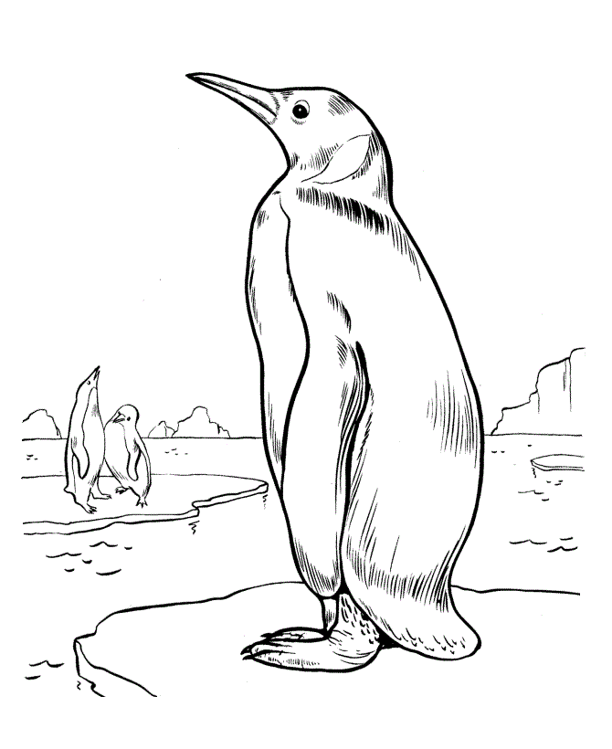 Desenho para imprimir