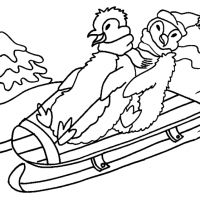 Desenhos para colorir Pinguins