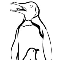 Desenhos para colorir Pinguins