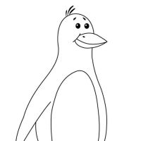 Desenhos para colorir Pinguins