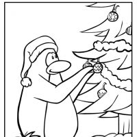 Desenhos para colorir Pinguins
