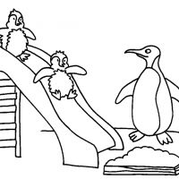 Desenhos para colorir Pinguins