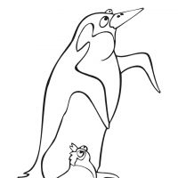 Desenhos para colorir Pinguins