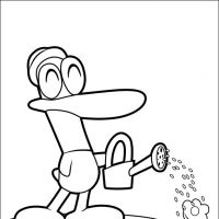 Desenhos para colorir Pocoyo