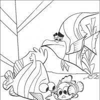 Desenhos para colorir Procurando Nemo
