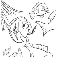 Procurando Nemo