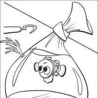 Desenhos para colorir Procurando Nemo