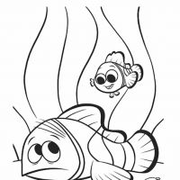 Desenhos para colorir Procurando Nemo