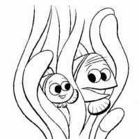 Desenhos para colorir Procurando Nemo