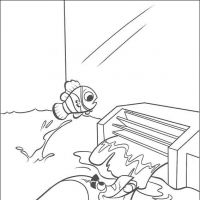 Desenhos para colorir Procurando Nemo