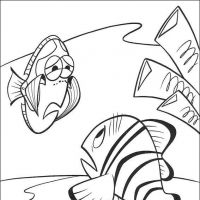 Desenhos para colorir Procurando Nemo
