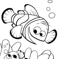 Desenhos para colorir Procurando Nemo