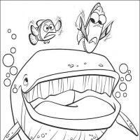 Desenhos para colorir Procurando Nemo