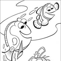 Desenhos para colorir Procurando Nemo