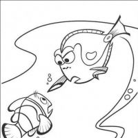 Desenhos para colorir Procurando Nemo