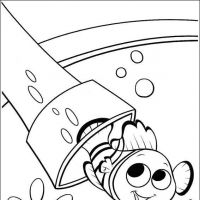 Desenhos para colorir Procurando Nemo
