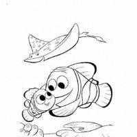 Desenhos para colorir Procurando Nemo