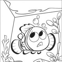 Desenhos para colorir Procurando Nemo