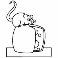 Desenhos para colorir Queijos