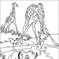 Desenhos para colorir Rei Leão