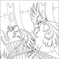 Desenhos para colorir Rio - Filme
