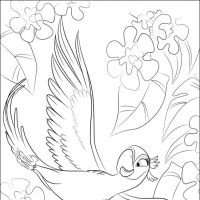 Desenhos para colorir Rio - Filme