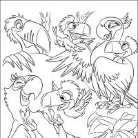 Desenhos para colorir Rio - Filme