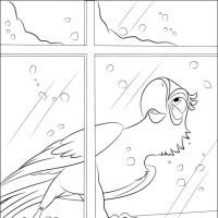 Desenhos para colorir Rio - Filme
