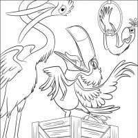 Desenhos para colorir Rio - Filme