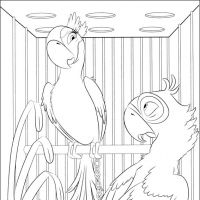 Desenhos para colorir Rio - Filme