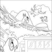 Desenhos para colorir Rio - Filme